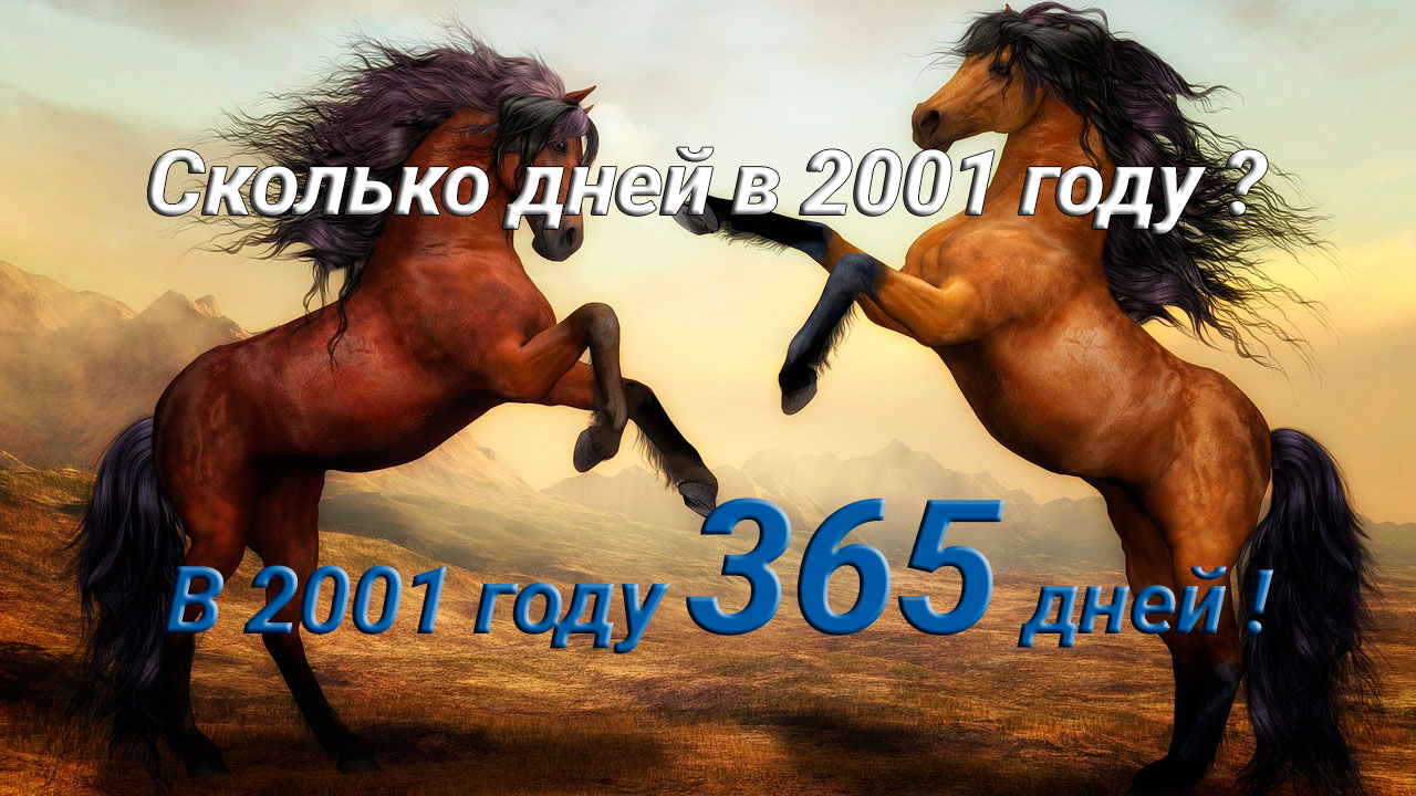 Сколько дней в 2001 году