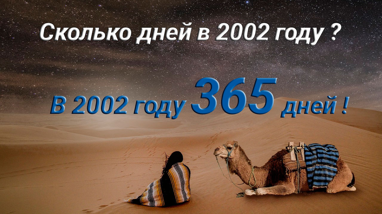 Сколько дней в 2002 году