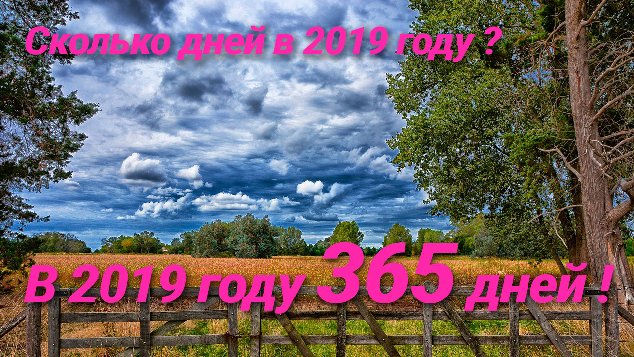 Сколько дней в 2019 году