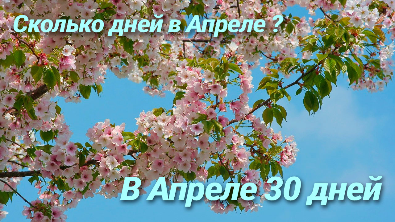 Сколько дней в Апреле году