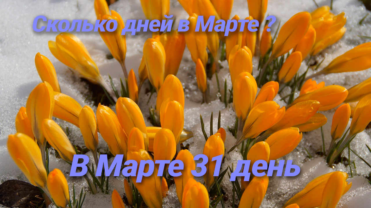 Сколько дней в Марте году