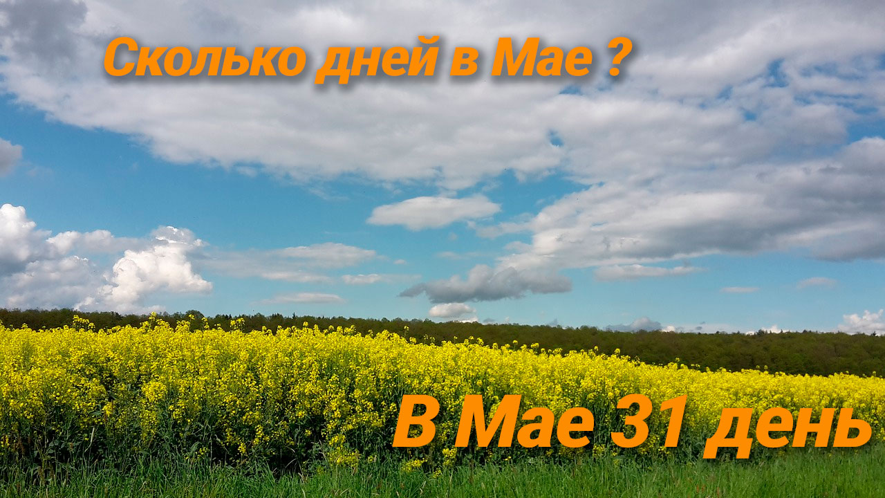 Сколько дней в Мае году