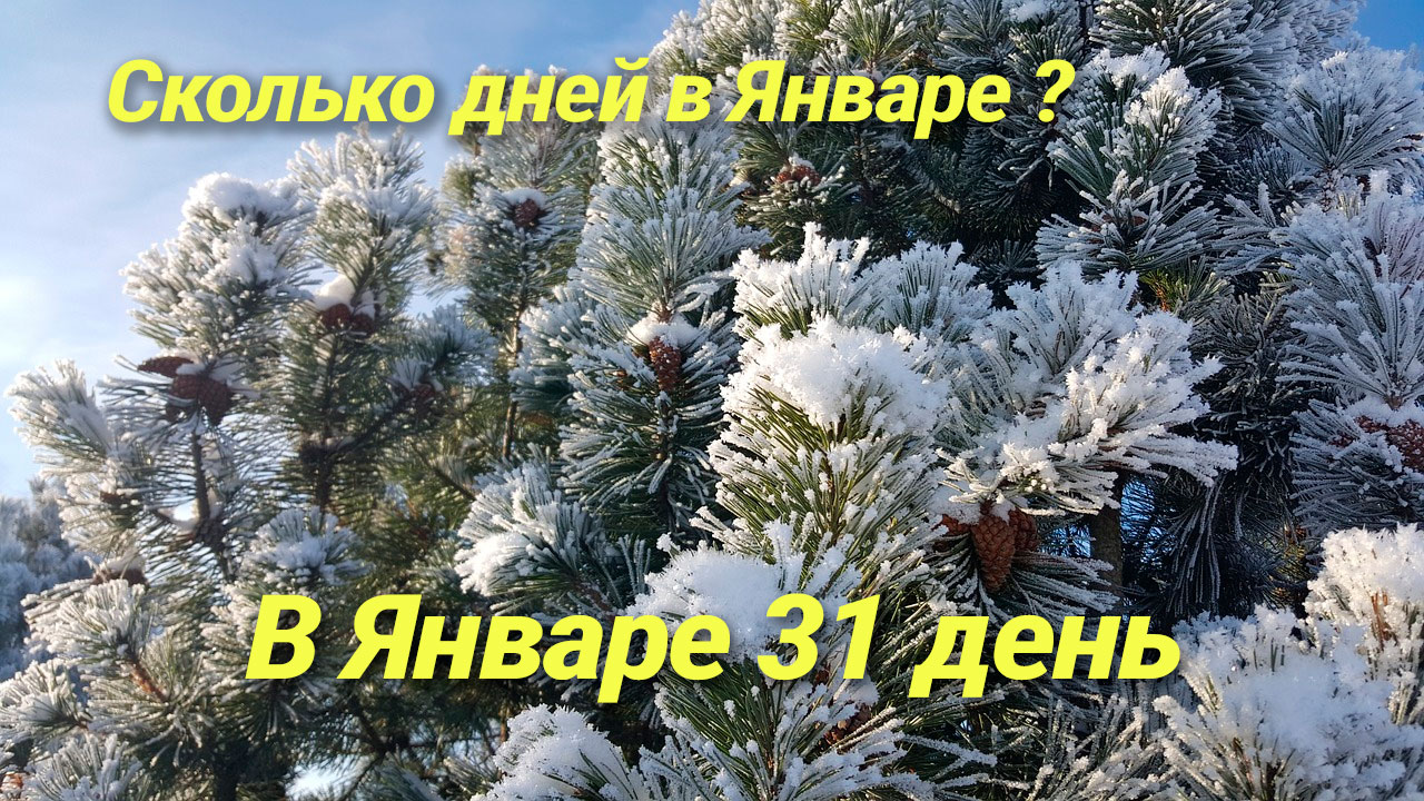 Сколько дней в Январе году